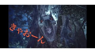 ［Part2］  Monster Hunter: World