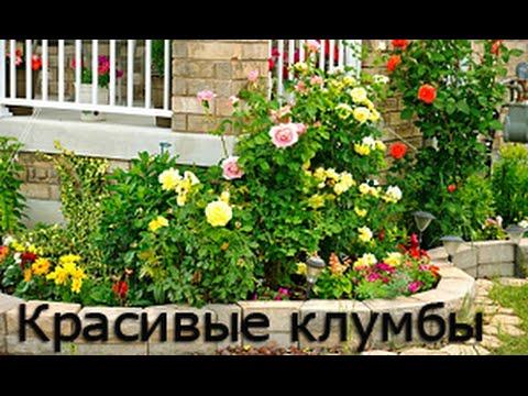 Красивые клумбы своими руками
