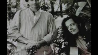 Ry Cooder &amp; David Lindley   - Mercury Blues