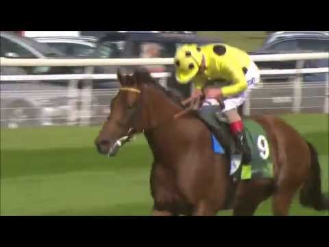 Postponed - 2016 Juddmonte International