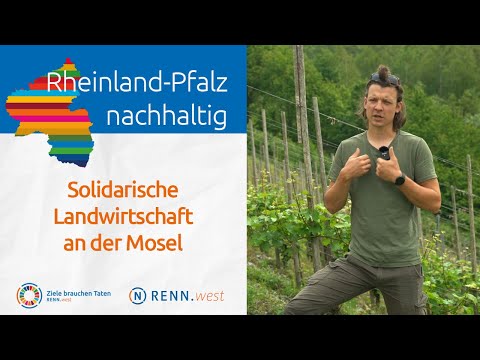 Wie funktioniert Solidarische Landwirtschaft? Bio-Winzer Jan Philipp Bleeke erklärt