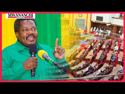 Alichokisema Dk Nchimbi fomu ya kupita bila kupingwa CCM