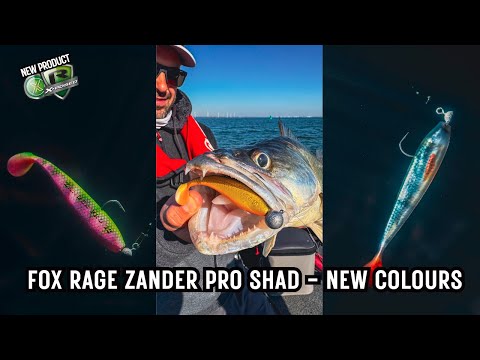 FOX RAGE ZANDER PRO SHAD NEW COLOURS