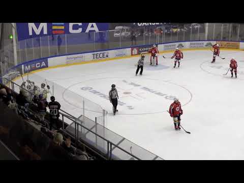 Ringerike Panthers 2020/21 - opprykk til Fjordkraftligaen