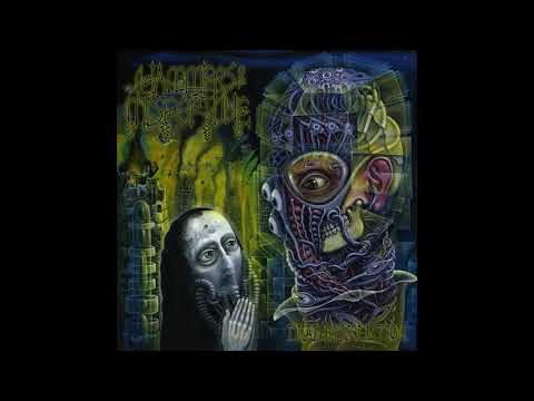 Hammers of Misfortune - Dead Revolution (2016) Full album