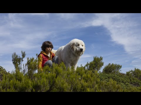Belle & Sebastian – Ein Sommer voller Abenteuer - Teaser