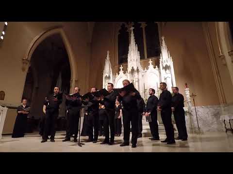 STSC: Gregorian chant Salve Regina, mode 1