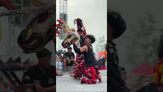 Download lagu Banteng Suro ngamuk melirik ae #ndadi #jaranan #bantengan #barongan #kudalumping mp3