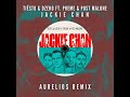 Tiësto & Dzeko ft. Preme & Post Malone - Jackie Chan (Aurelios Extended Remix)