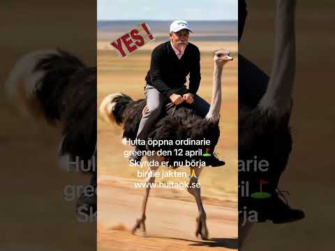 🔥 Just nu – 100 kr rabatt på ordinarie greenfee! ⛳