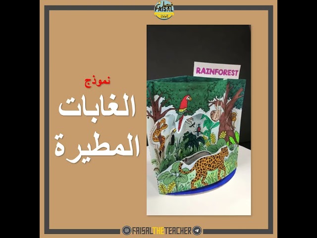 نموذج POP-UP لمنطقة الغابات المطيرة