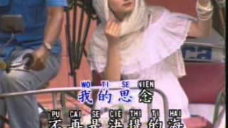 心雨 Xin Yu (優必勝 U-Best Production)