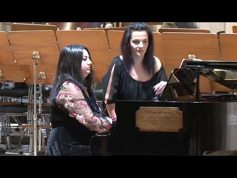 Petre Elinescu - Scena pastorala, revizuită de Stefan Diaconu