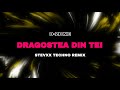 O Zone Dragostea Din Tei Stevxx Techno Remix