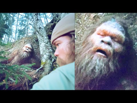 Where Are All Bigfoot Bodies? Here's Why We Can't Find Any Footage of It - Sasquatch Encounter