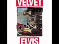 Velvet Elvis I Got Everything