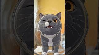 不思議な猫 3   #cat#funny#ai
