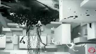 Thomas Bronzwaer - Shadow World 2014 (Music video)))