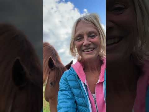 Wie viel Liebe kannst du reinlassen? #liebe #pferdegestütztescoaching #pferde