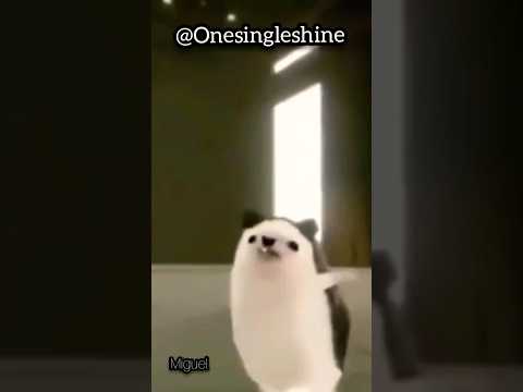 Mardito alcohol! dulce tormento! 🦔 #erizo #erizos #pitbull #memes #random #risas