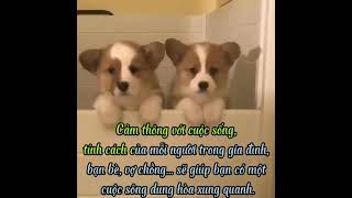 Bánh Mì Cháy   Câu chuyện cuộc sống