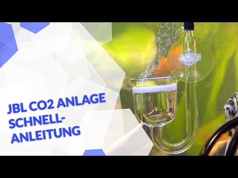 JBL Proflora CO2 für Aquarium und Aquascape - Montage total  easy