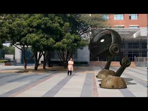 Create an Elegant Concentric Rings Animation