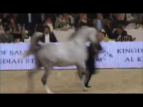 Profender K.A. @t the European Championships 2014