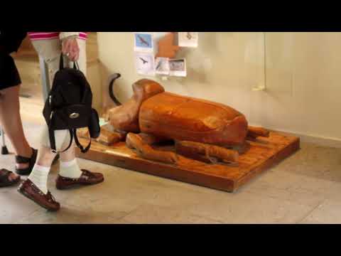 Gotlandsresan 2018 21