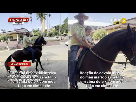 Vídeo: Cavalo muda de postura ao carregar bebê e chama atenção pela delicadeza.