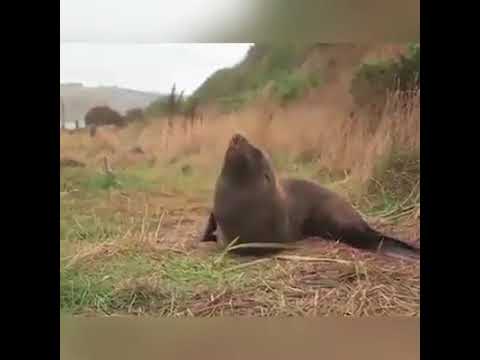 Lucky people survived miraculously compilation