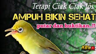 Download lagu CIAK CIAK JOSS KECIAL KUNING AMPUH||PANCINGAN KECIAL MALAS BUNYI|| mp3 Download lagu CIAK CIAK JOSS KECIAL KUNING AMPUH||PANCINGAN KECIAL MALAS BUNYI|| mp3