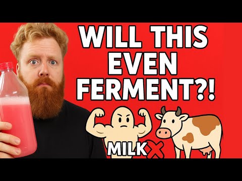 I Tried to Distill Strawberry Milk… and Things Got Weird