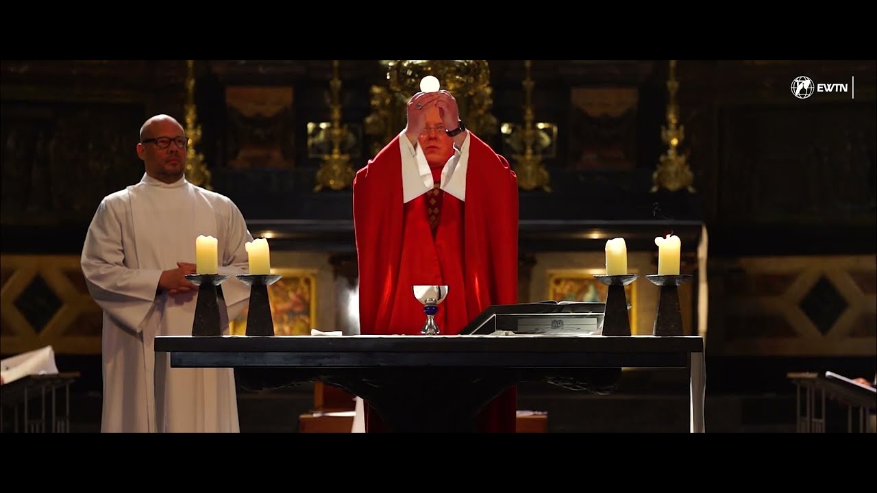 Discover the captivating highlights of Basilica of Saint Nicholas!