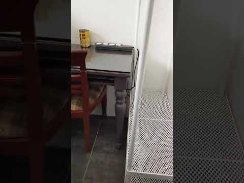 People's Park Complex, 1 Park Road, Boat Quay / Raffles Place / Marina, Room Rental, 70 sqft, Apartment For Rent, by Christopher Yeo, 24365316 - PropertyGuru.com.sg