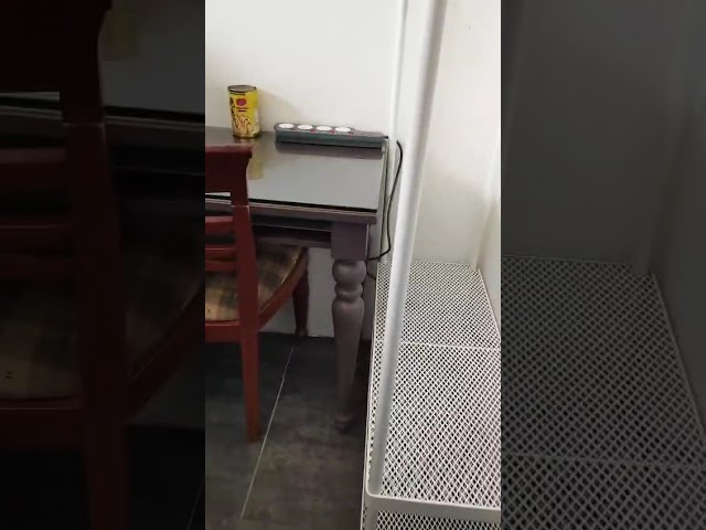 Master Room (Condo) for Rent in  People's Park Complex - Image 17