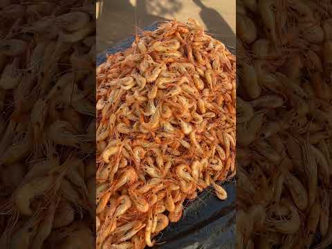 Acabou de chegar camarão fresquinho na feira de Pio XII Maranhão ❤️🤤🤤￼