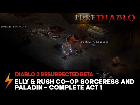 Diablo 2 Resurrected Live Co-op Stream [Paladin and Sorceress] - PureDiablo.Com