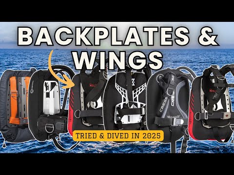 Best Backplate and Wings - Which BPW Setup is the Best?