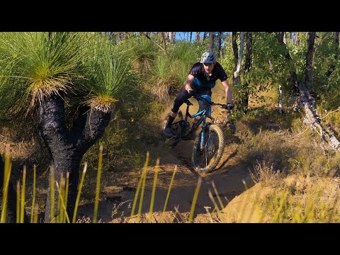 Blake Pearce v Austrálii