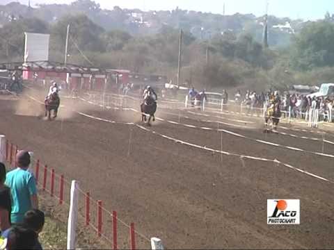 MAL CRIADO SOHAR 23 7 17