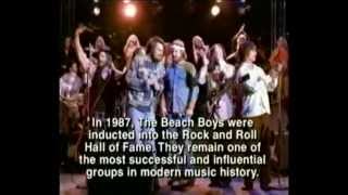 Fun Fun Fun - An American Family The Beach Boys Story