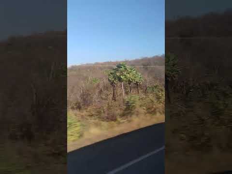 Pelas estradas de São João da Fronteira, Piauí