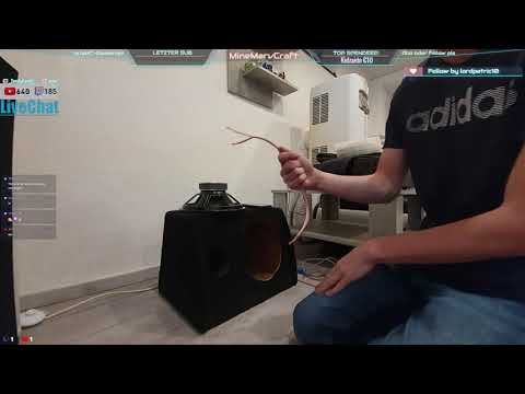 IRL  | Ich teste einen günstigen 10 Zoll Treiber (Subwoofer) | McGee MHB-10