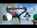 Pingu S06e21 Pingu And The Braces Dvdrip Xvid