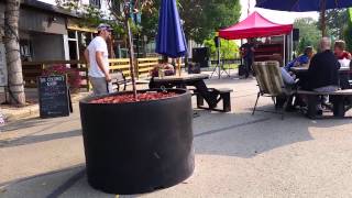 Cole Malone singing born again in dixieland