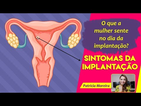 SYMPTOMS OF EMBRYO IMPLANTATION IN THE UTERUS | Patrícia Moreira