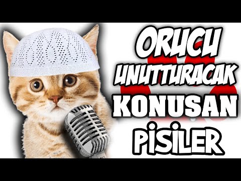 Orucu Unutturacak Konuşan Pisiler (bu kediler açlığı susuzluğu unutturur🤣🤣)
