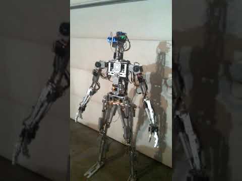 Cliffordkoperski's HAL THE ROBOT  THAT WALKS AND TALKS