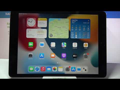 How to Enter Text Correction Options on iPad 9th Gen - Manage Input Features on iPad 2021